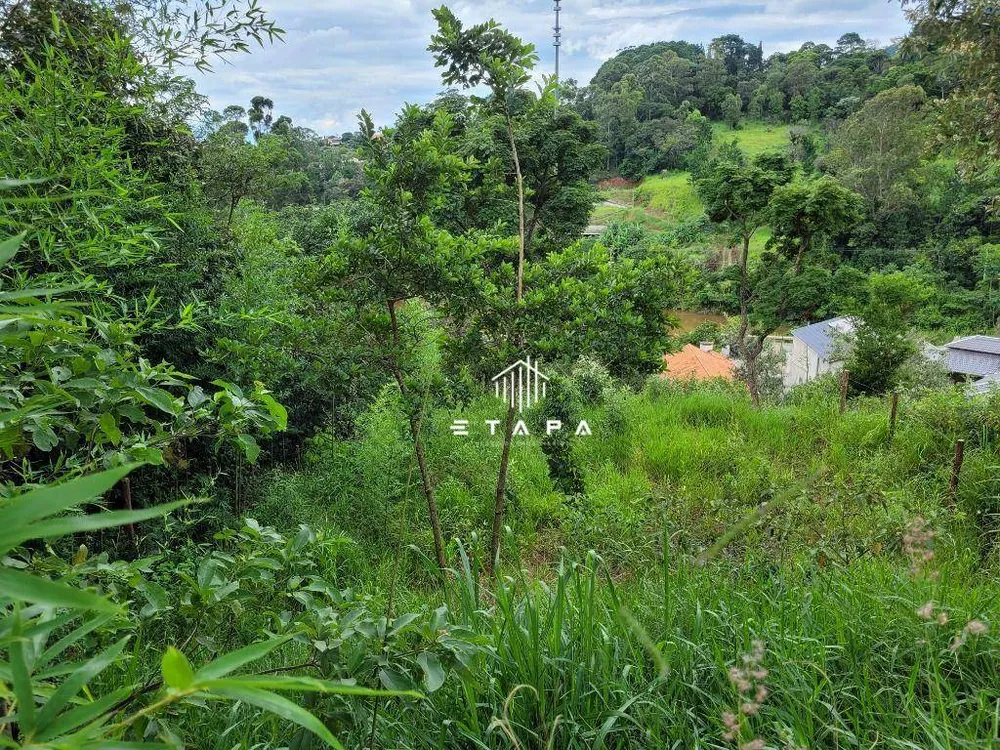 Terreno, 728 m² - Foto 3