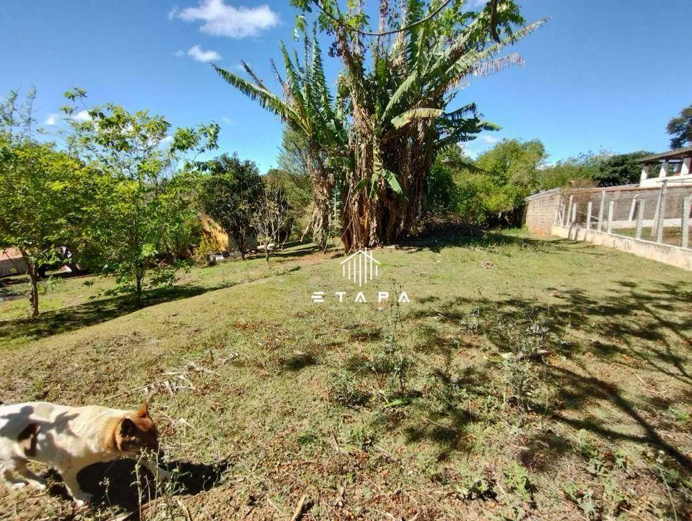 Terreno, 1000 m² - Foto 3