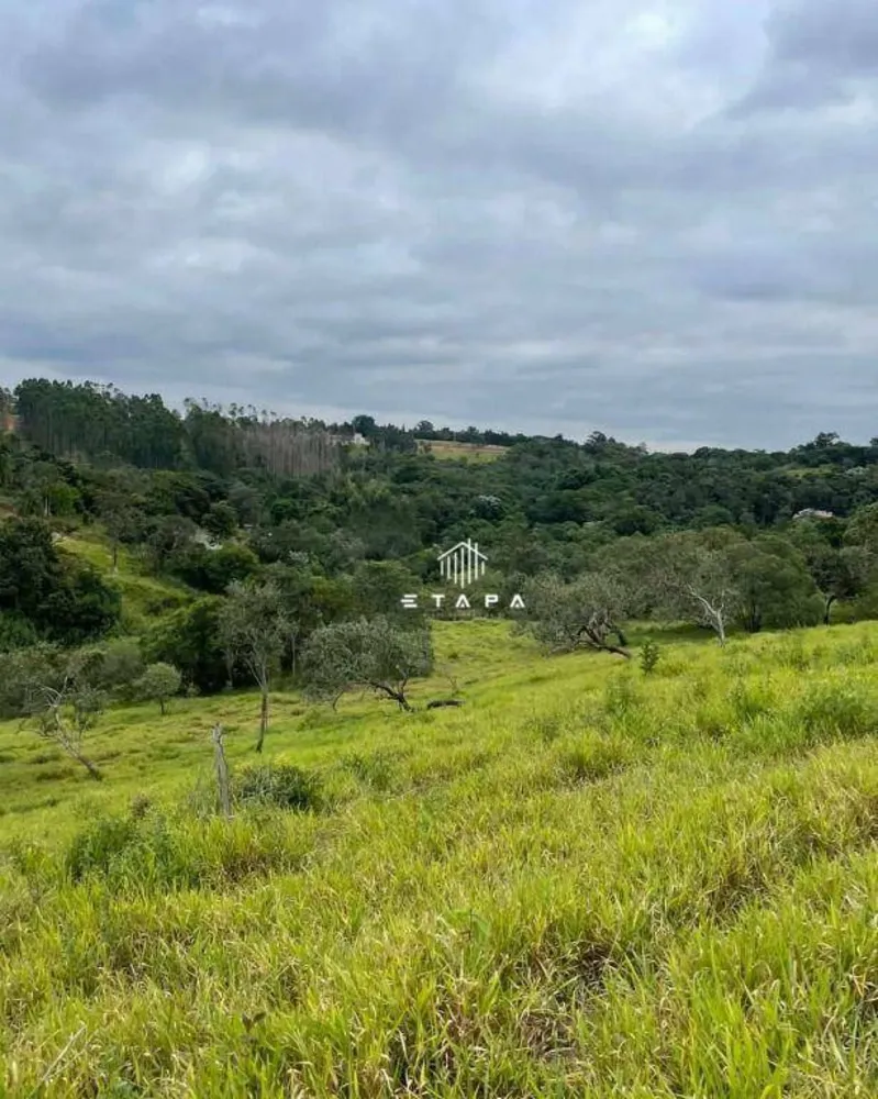 Terreno, 3 hectares - Foto 5