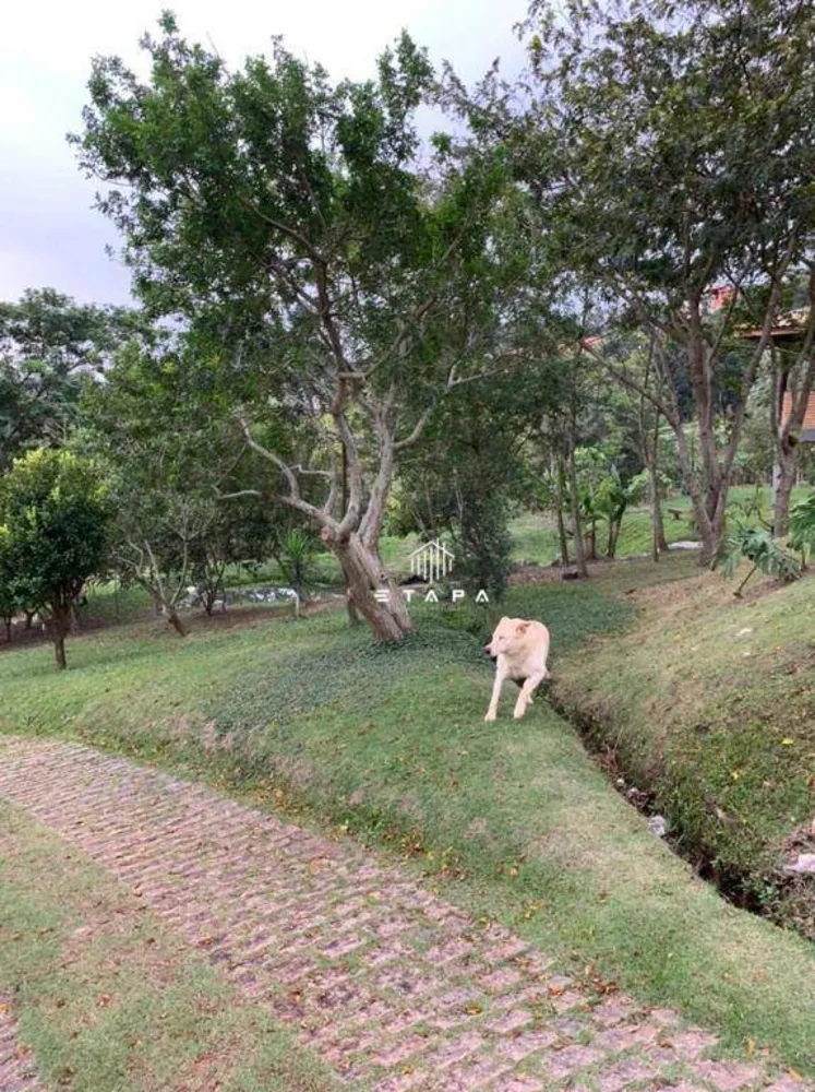 Chácara, 12 quartos, 3 hectares - Foto 15