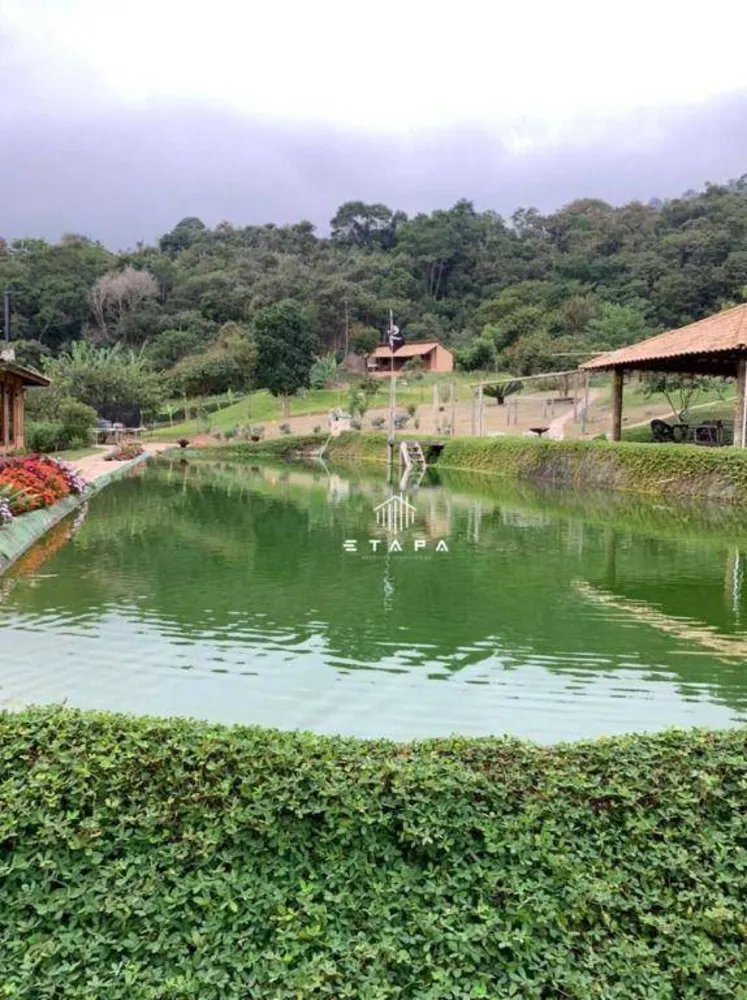 Chácara, 12 quartos, 3 hectares - Foto 11