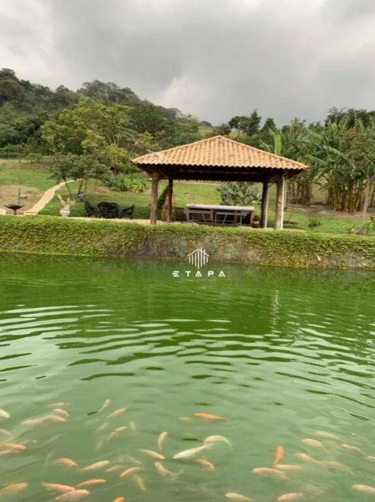 Chácara, 12 quartos, 3 hectares - Foto 13