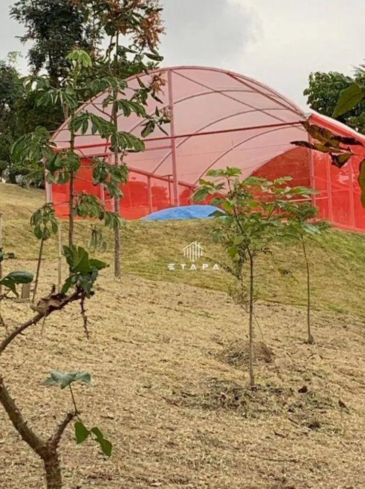 Chácara, 12 quartos, 3 hectares - Foto 10