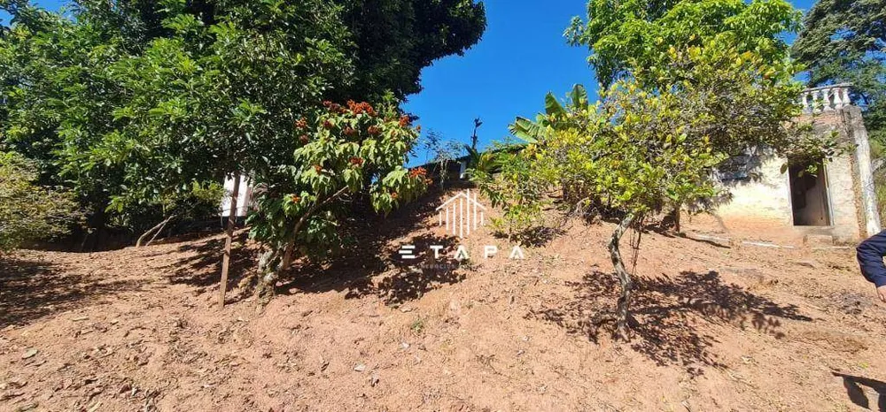 Chácara, 2 quartos, 3040 m² - Foto 3