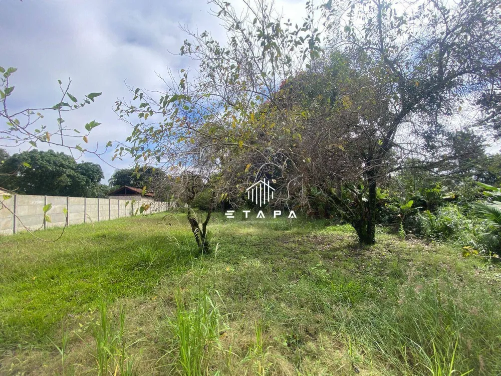 Terreno, 2000 m² - Foto 5