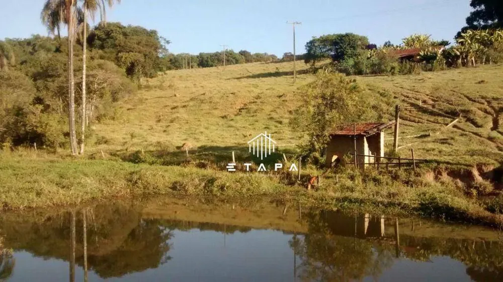 Sítio, 6 quartos, 13 hectares - Foto 4