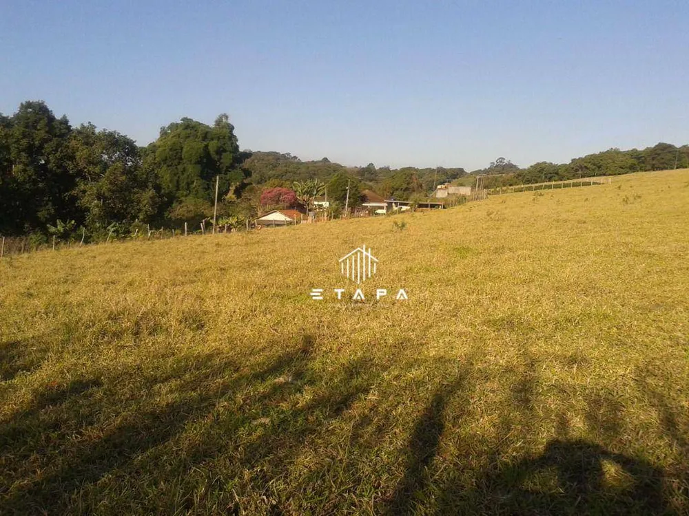 Sítio, 6 quartos, 13 hectares - Foto 2