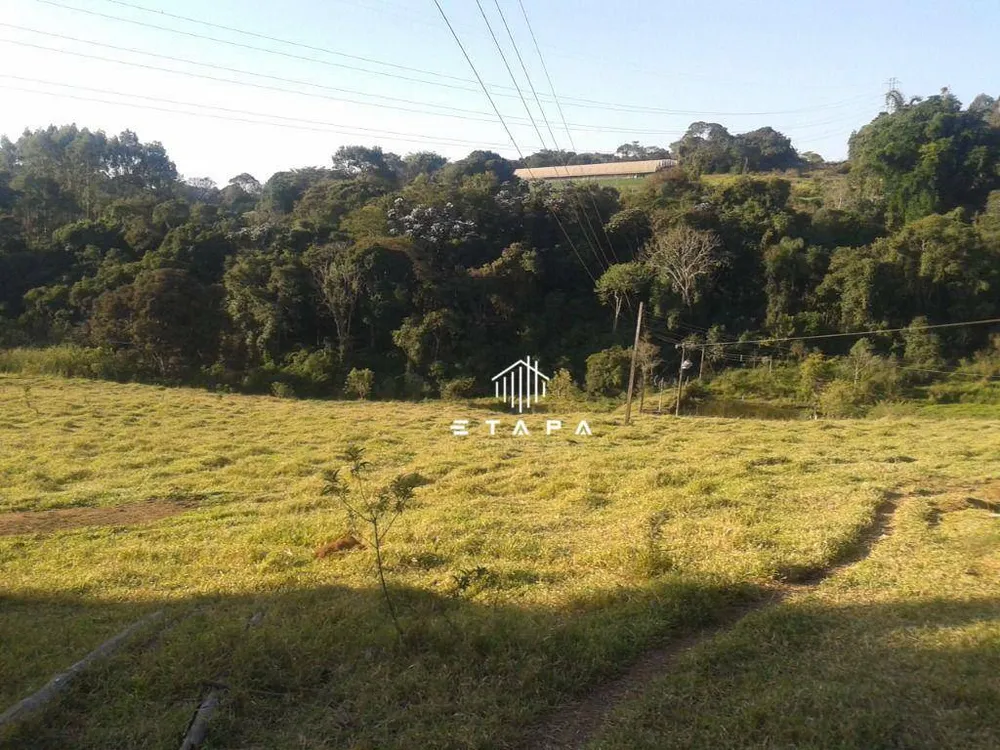 Sítio, 6 quartos, 13 hectares - Foto 10