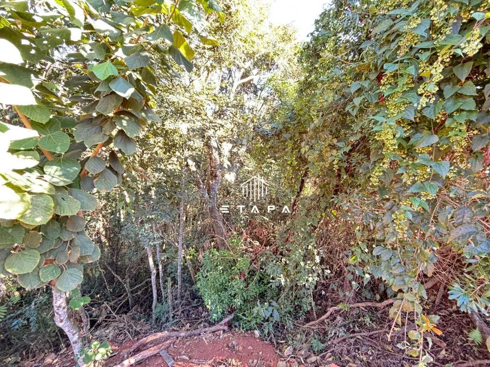 Terreno, 2567 m² - Foto 4
