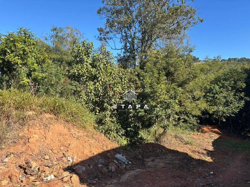 Terreno, 2567 m² - Foto 7