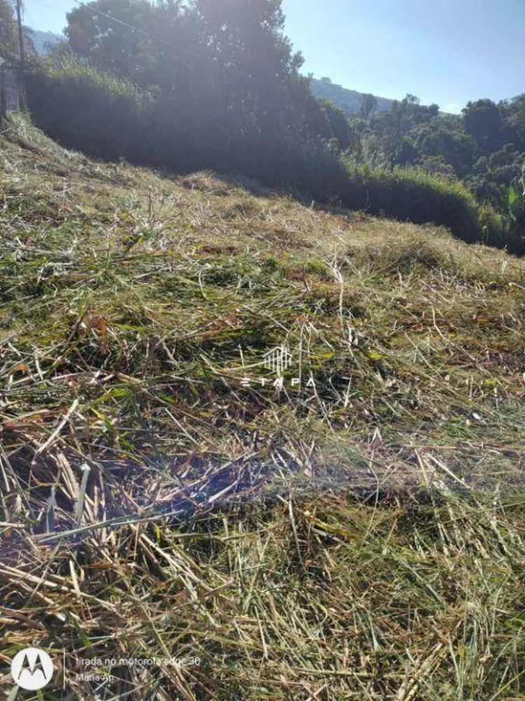 Terreno, 1000 m² - Foto 1