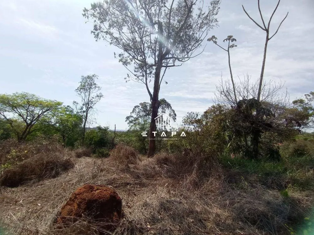 Terreno, 3800 m² - Foto 7