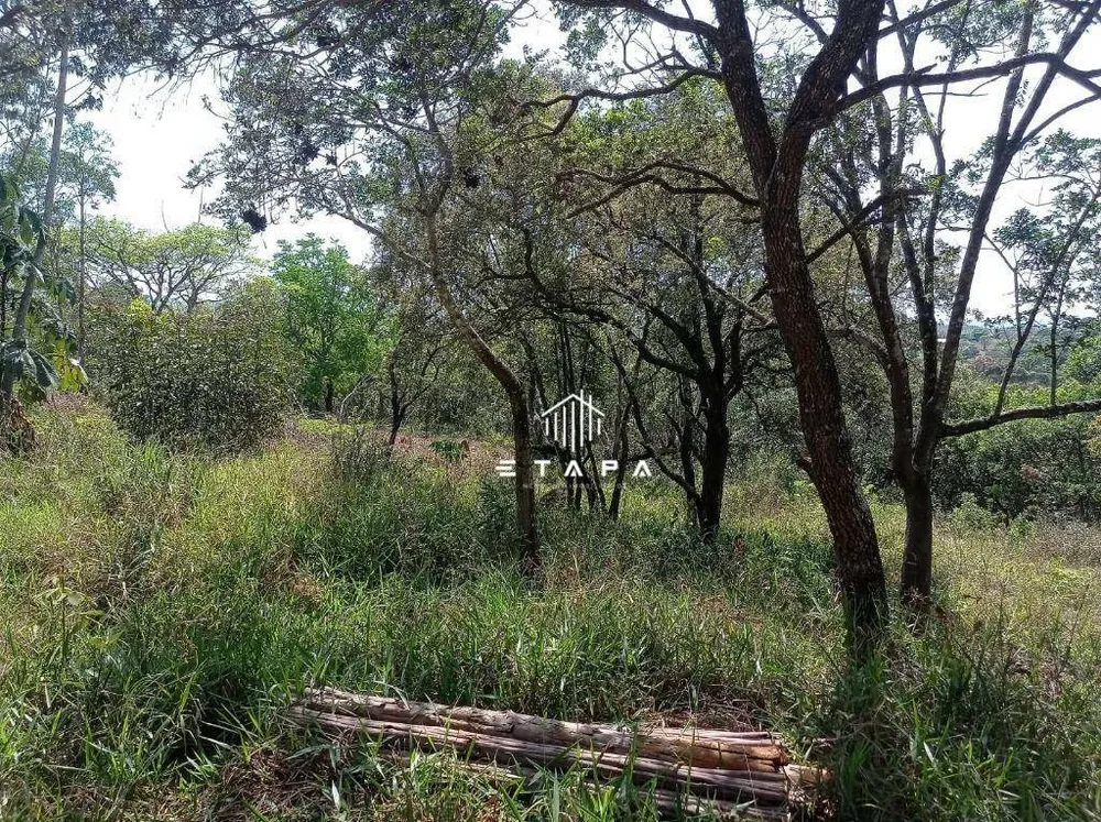Terreno, 3800 m² - Foto 9