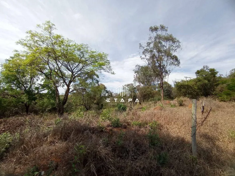 Terreno, 3800 m² - Foto 6