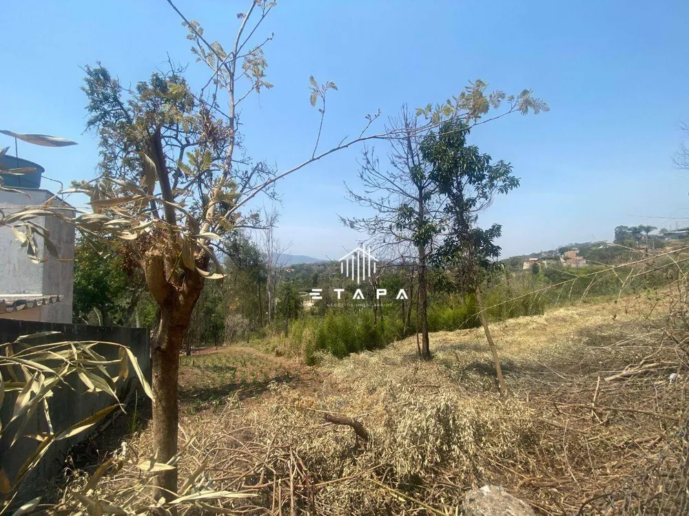 Terreno, 4100 m² - Foto 1