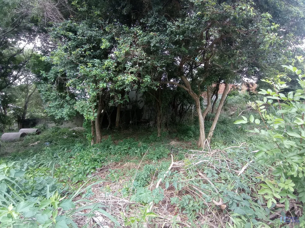 Terreno, 456 m² - Foto 2