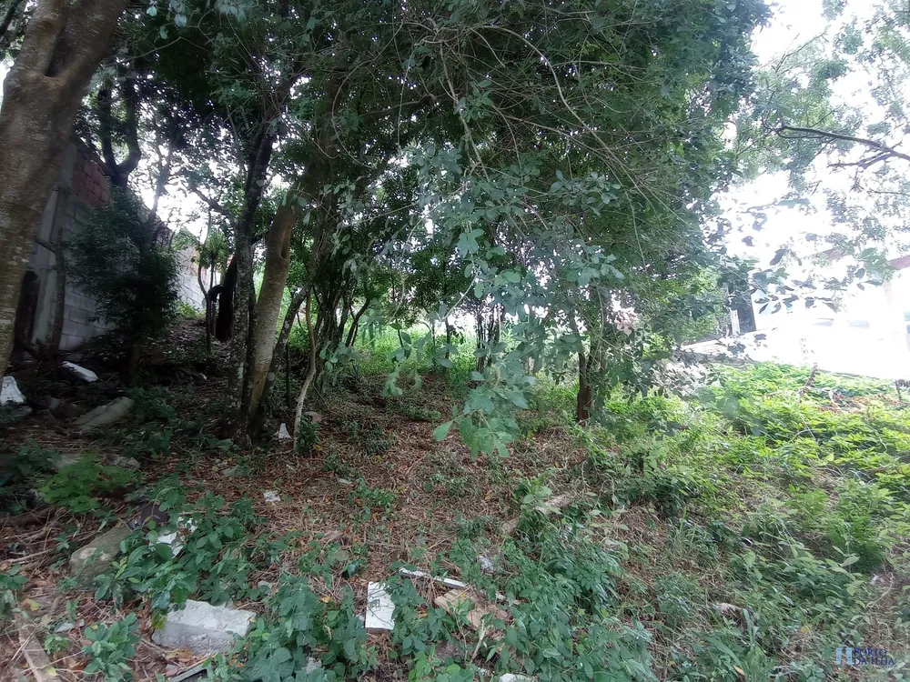 Terreno, 456 m² - Foto 3