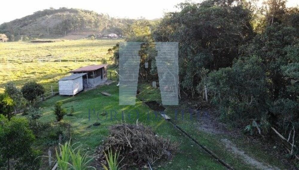 Sítio, 4500 m² - Foto 5