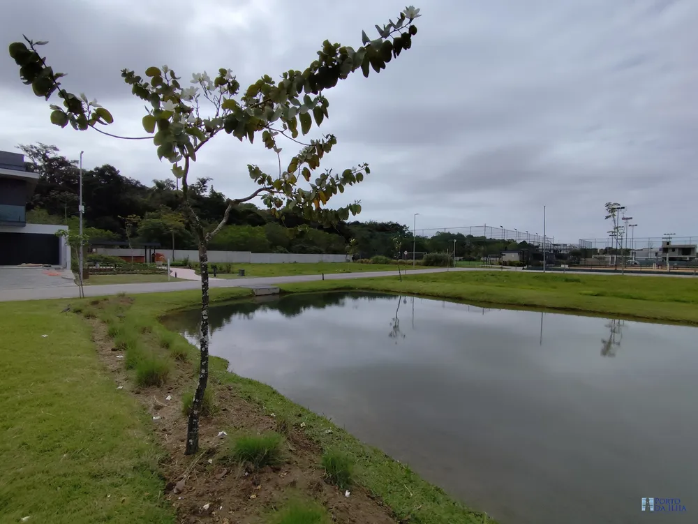 Terreno, 300 m² - Foto 6