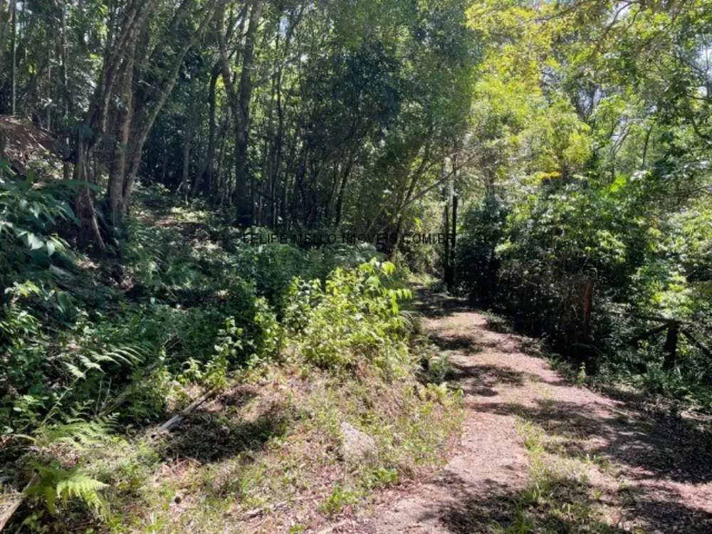 Terreno, 3000 m² - Foto 7