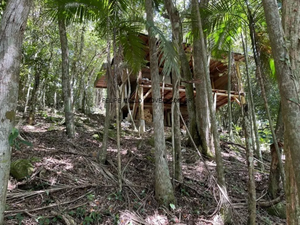 Terreno, 3000 m² - Foto 5