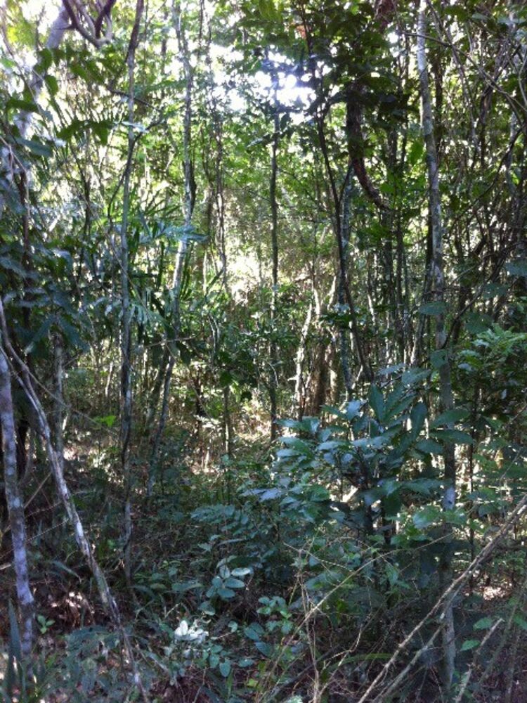 Terreno, 30000 m² - Foto 11