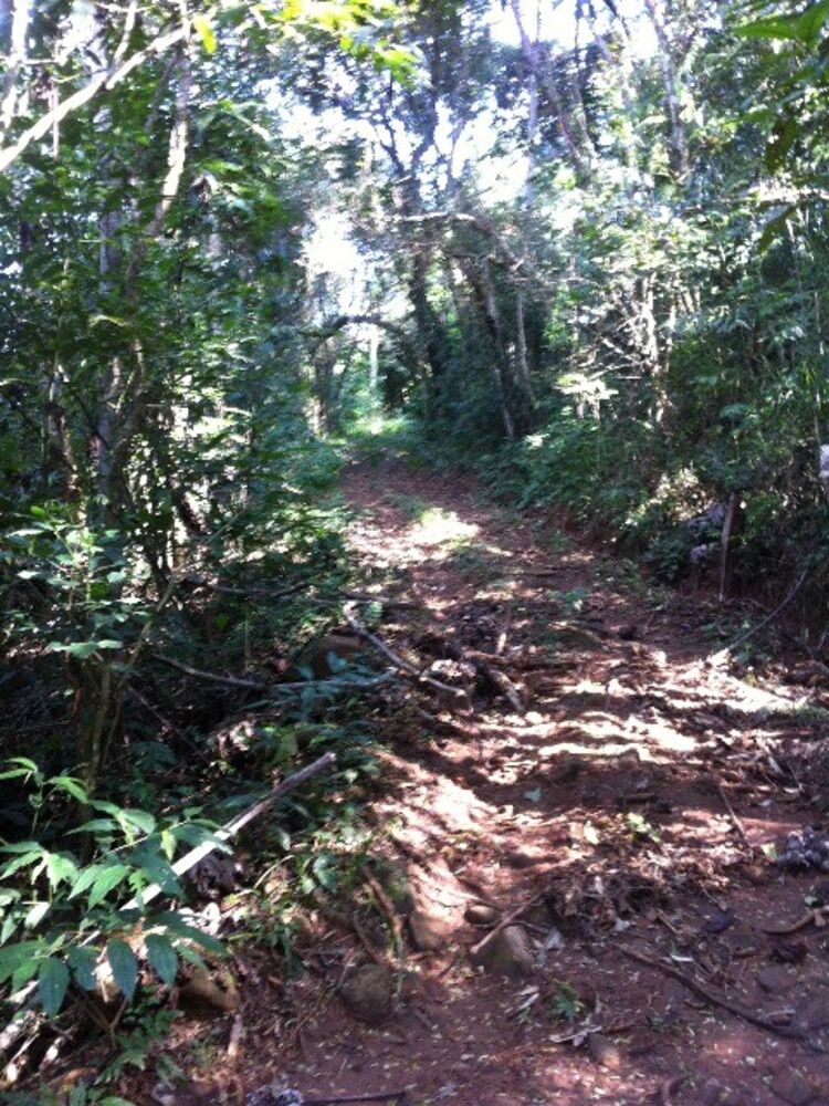 Terreno, 30000 m² - Foto 7