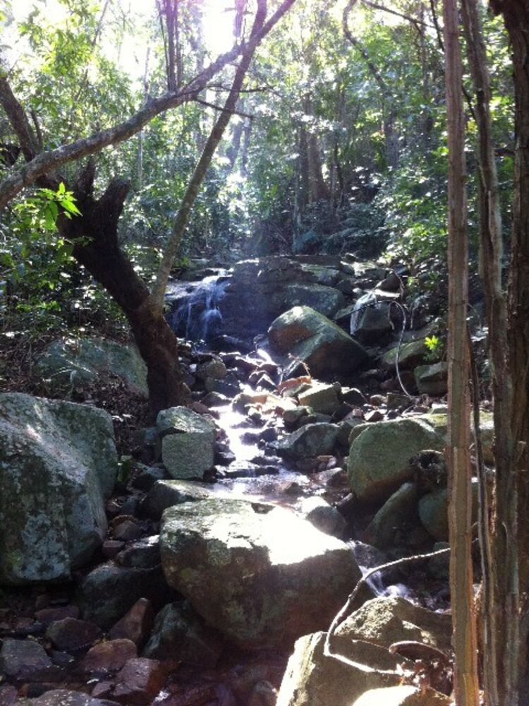 Terreno, 30000 m² - Foto 5