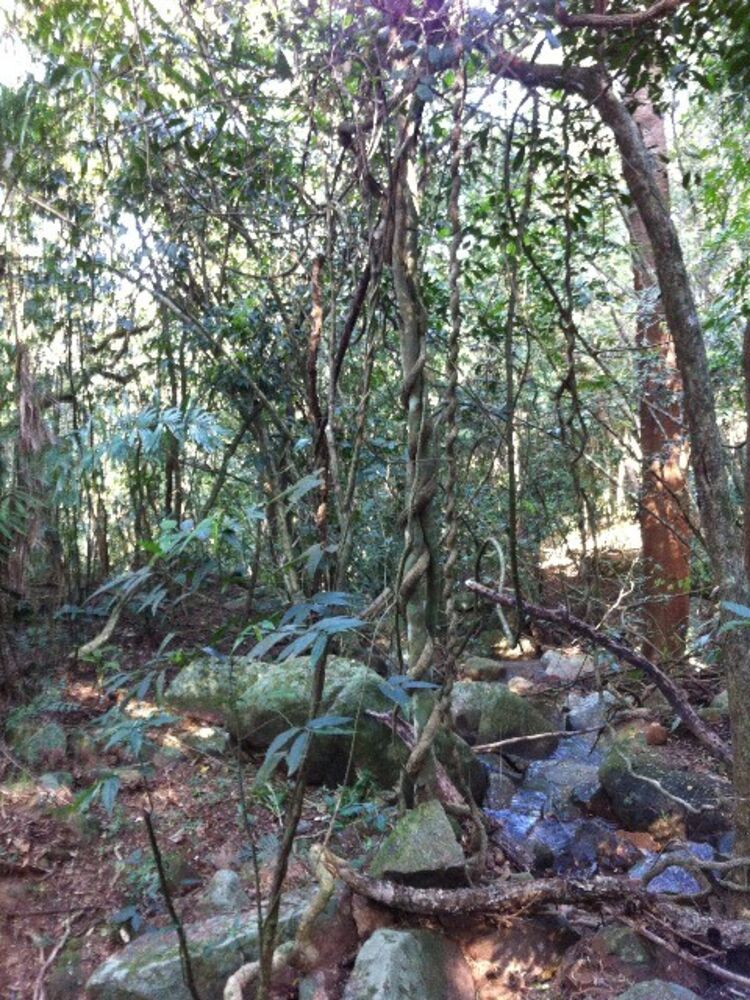 Terreno, 30000 m² - Foto 6