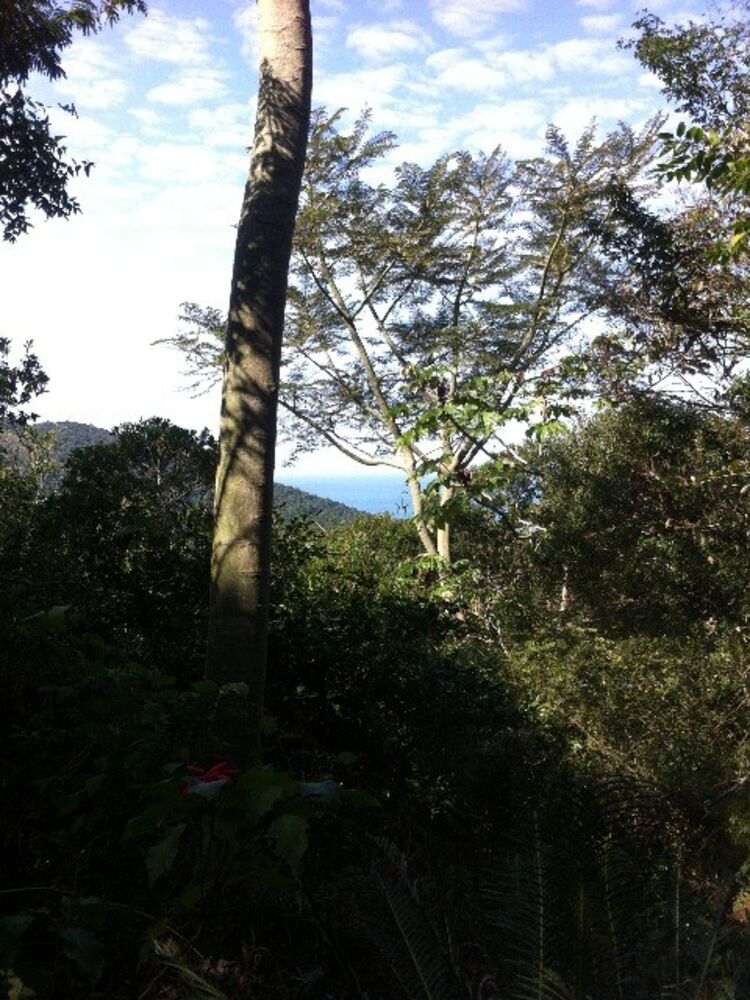 Terreno, 30000 m² - Foto 4