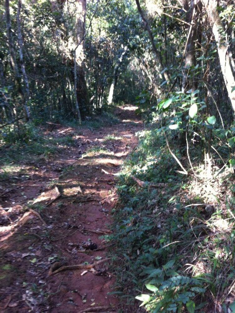 Terreno, 30000 m² - Foto 8