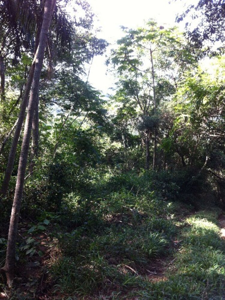 Terreno, 30000 m² - Foto 9