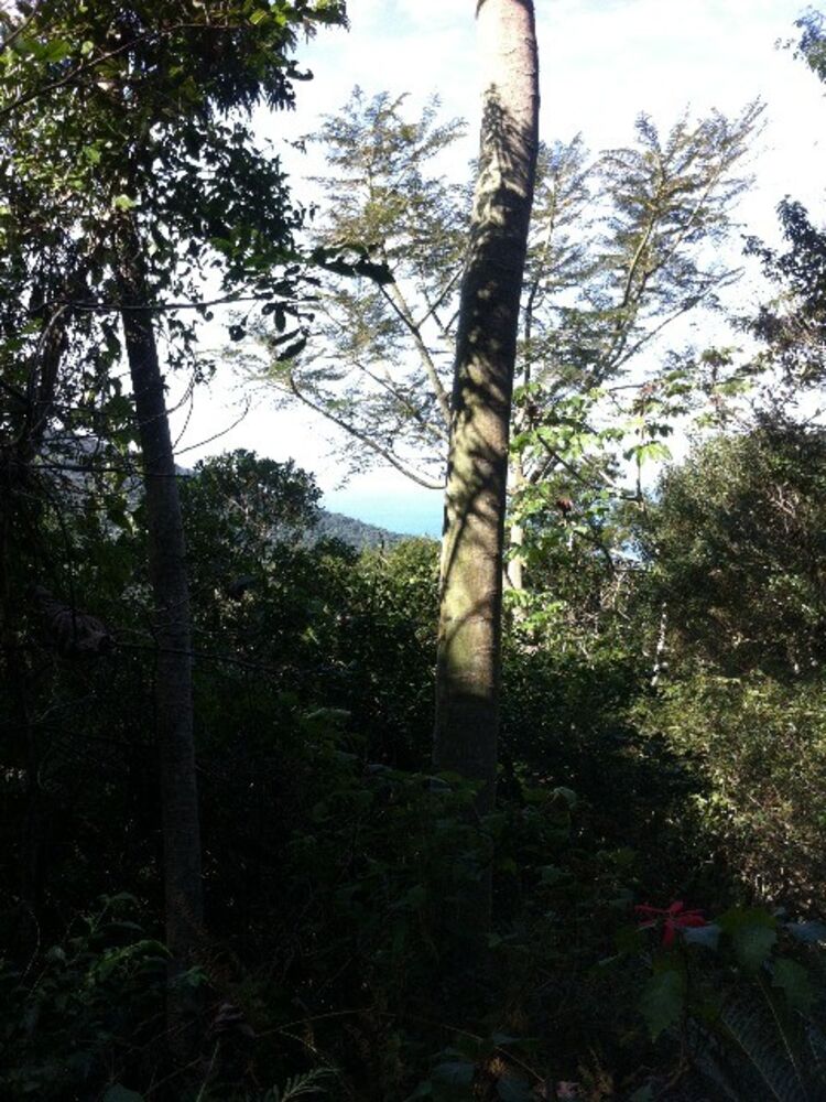 Terreno, 30000 m² - Foto 10