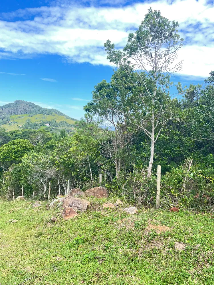 Terreno, 2679 m² - Foto 6