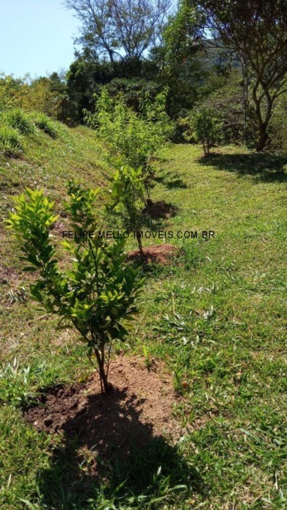 Sítio, 5 quartos, 10000 m² - Foto 24