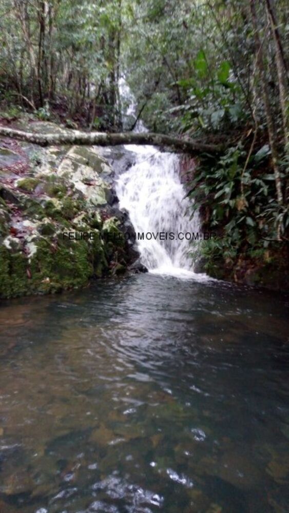 Sítio, 5 quartos, 10000 m² - Foto 21