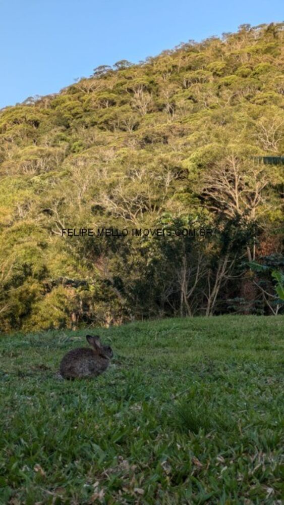 Sítio, 5 quartos, 10000 m² - Foto 16
