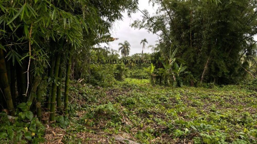 Loteamento e Condomínio - Foto 10