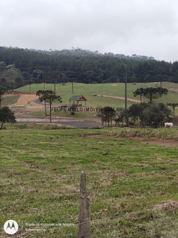 Sítio, 19 hectares - Foto 13