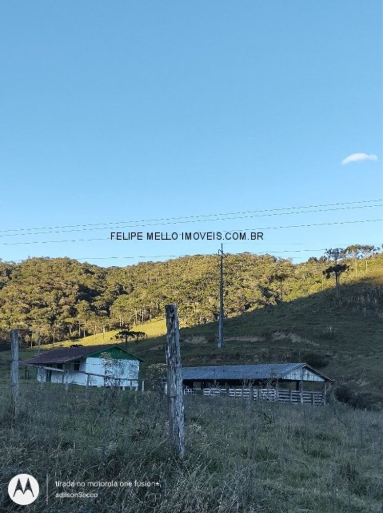 Sítio, 19 hectares - Foto 12