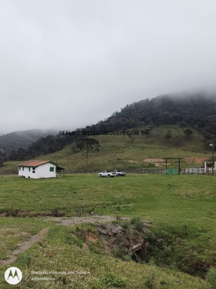 Sítio, 19 hectares - Foto 15