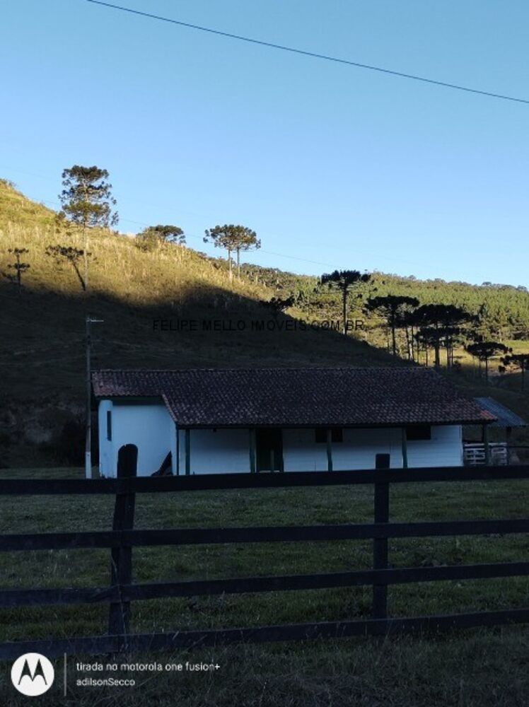 Sítio, 19 hectares - Foto 11