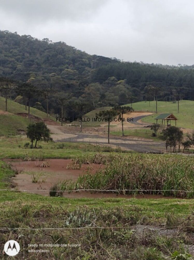 Sítio, 19 hectares - Foto 14