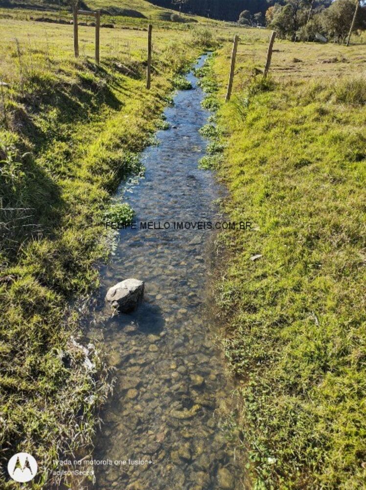 Sítio, 19 hectares - Foto 9