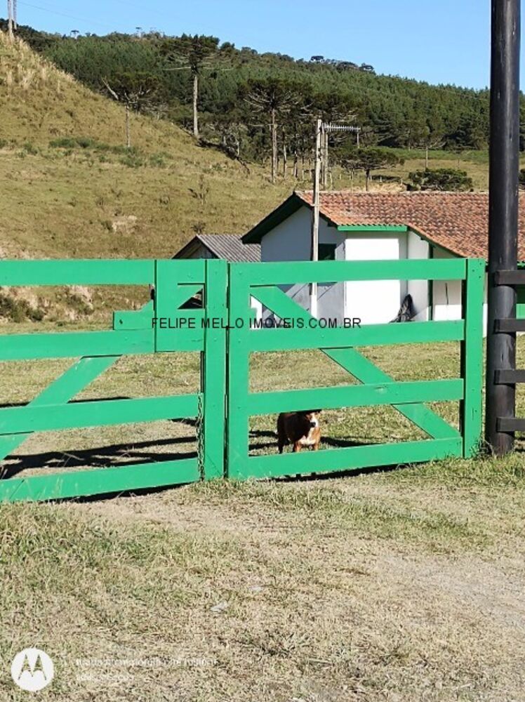 Sítio, 19 hectares - Foto 7