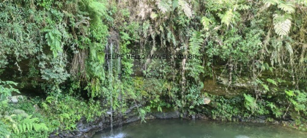 Sítio, 19 hectares - Foto 5