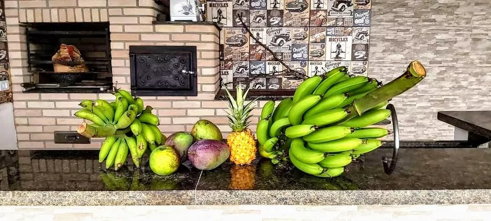 Chácara, 2 quartos, 306 m² - Foto 9