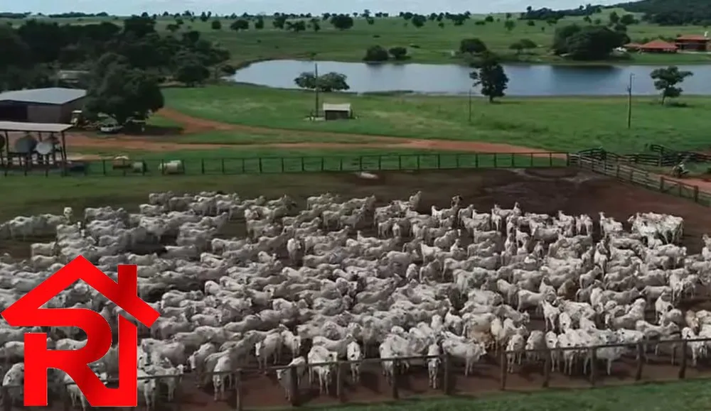 Fazenda - Foto 11