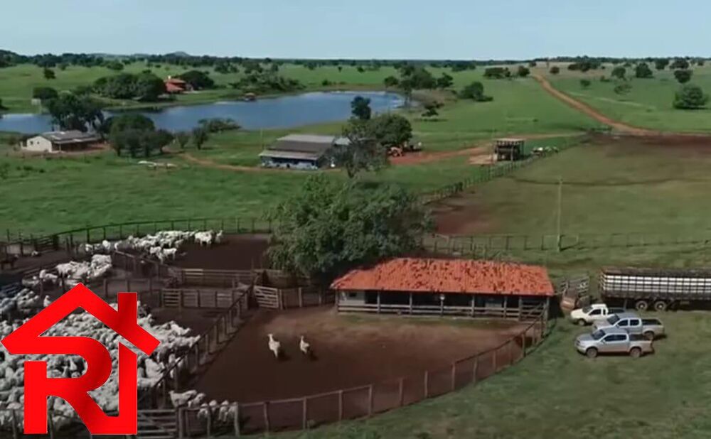 Fazenda - Foto 8