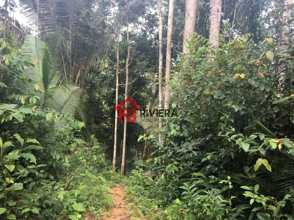 Fazenda - Foto 7